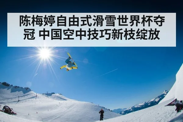 陈梅婷自由式滑雪世界杯夺冠 中国空中技巧新枝绽放