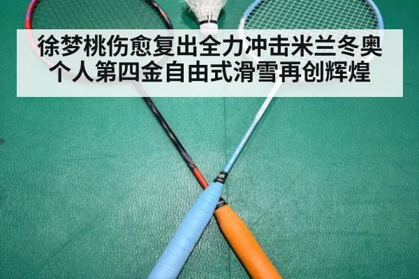徐梦桃伤愈复出全力冲击米兰冬奥个人第四金自由式滑雪再创辉煌